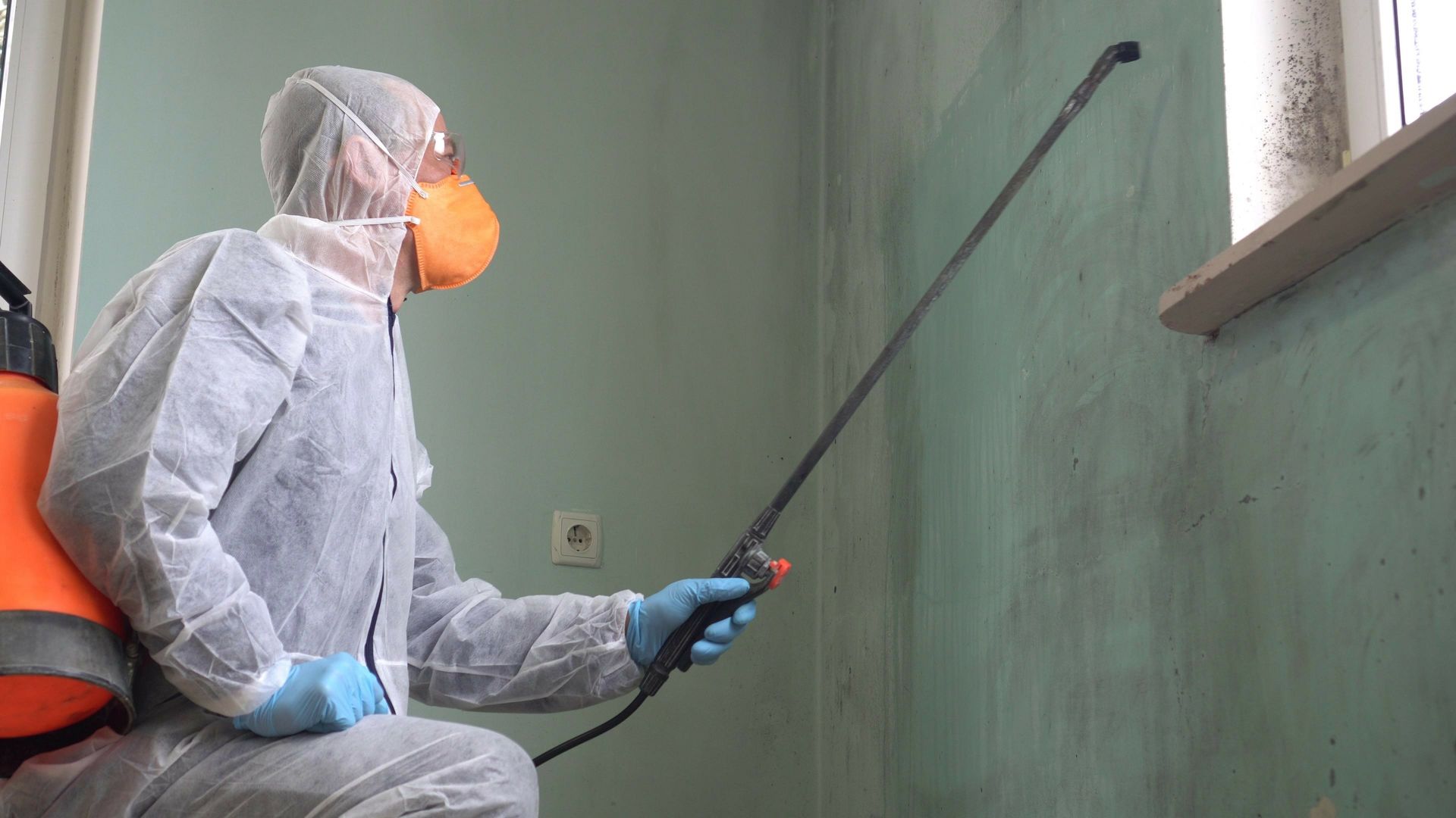 A worker performs mould remediation, spraying the area with an antimicrobial treatment.