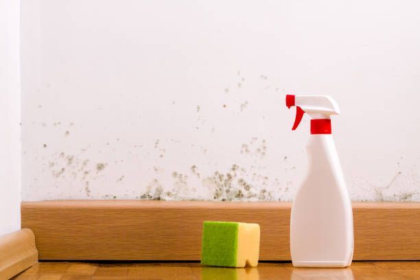 Spray bottle next to a sponge.