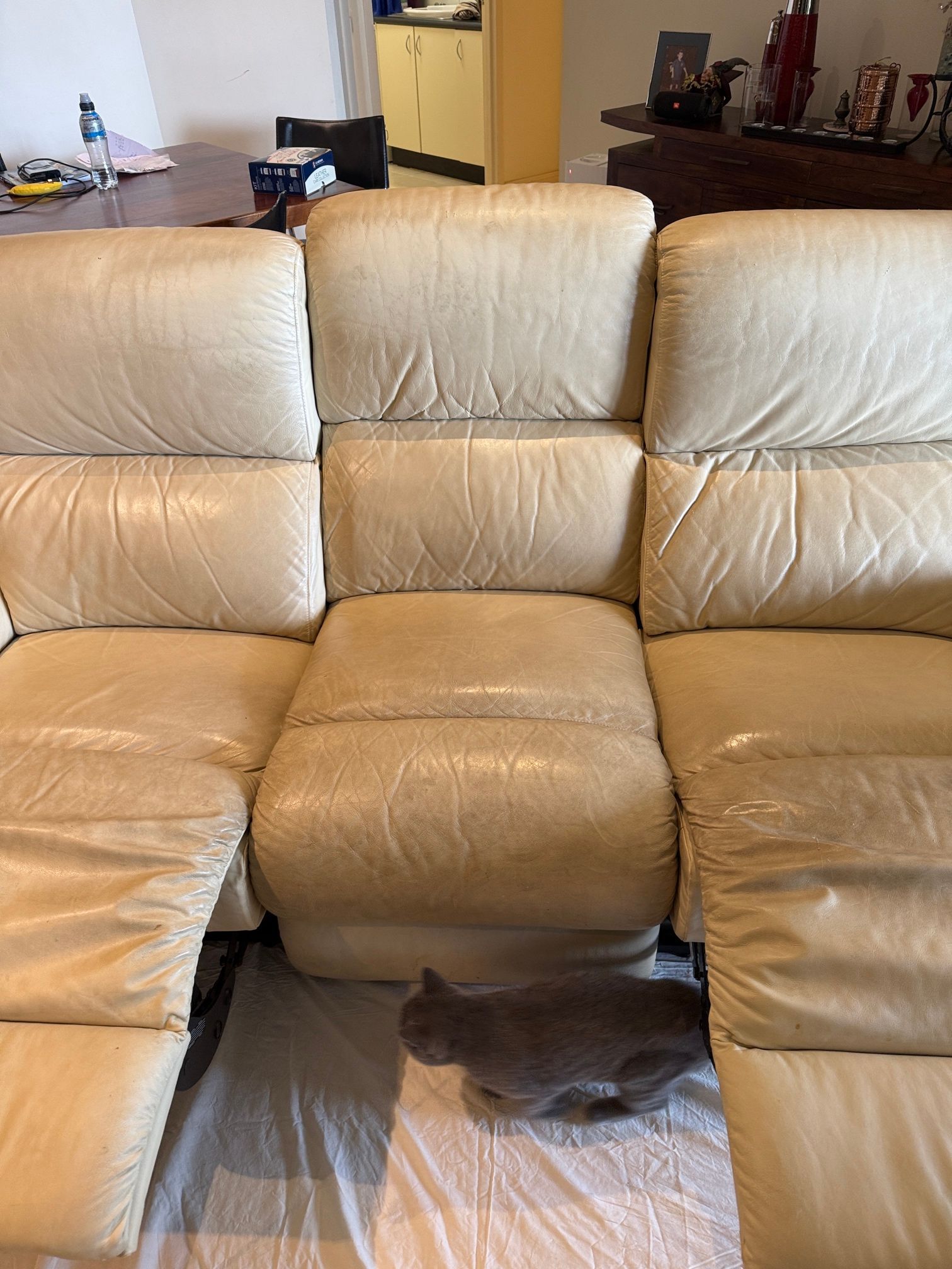 A cat is sitting on the floor next to a beige leather couch.
