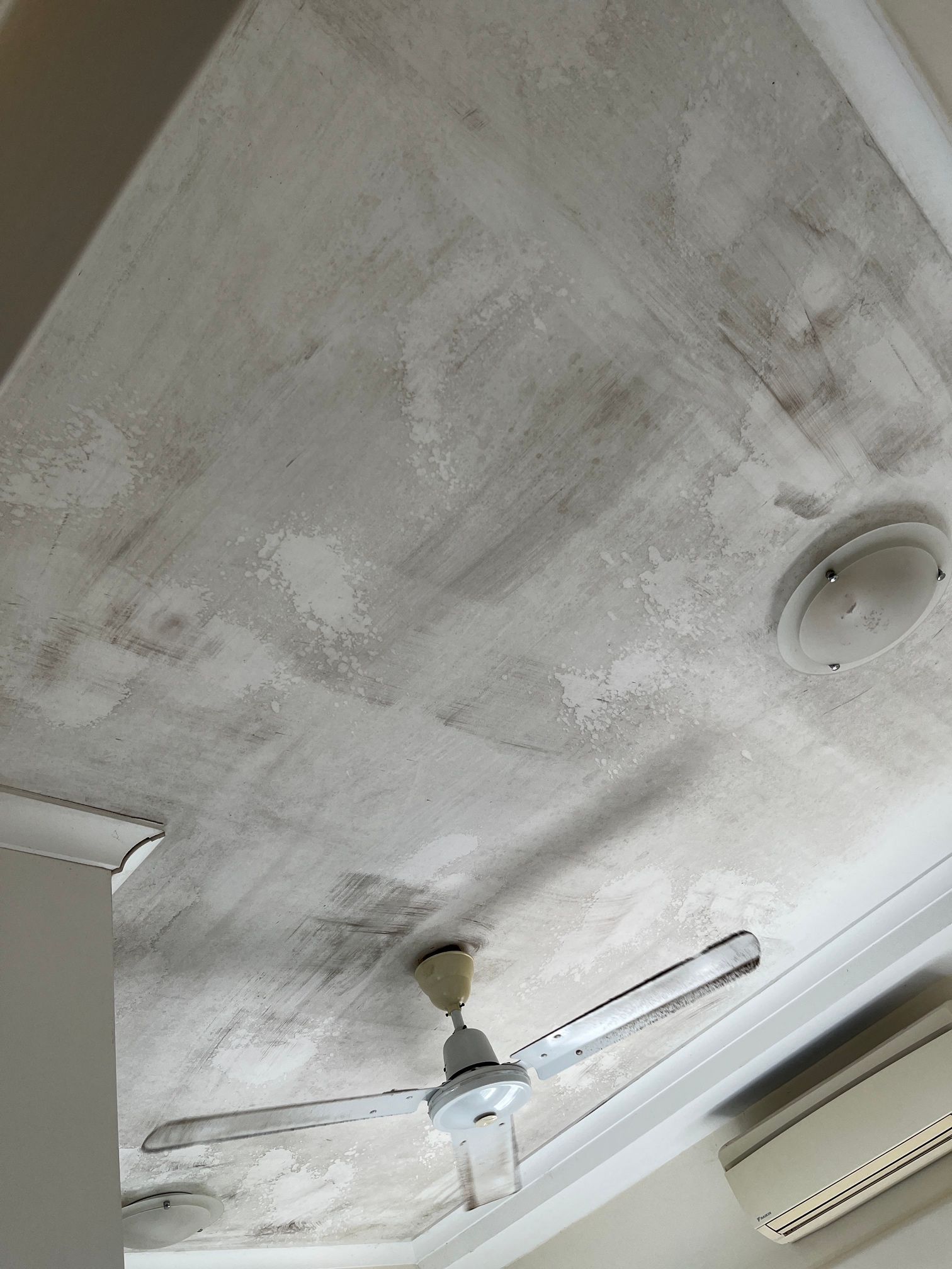 A ceiling fan is hanging from the ceiling of a room.