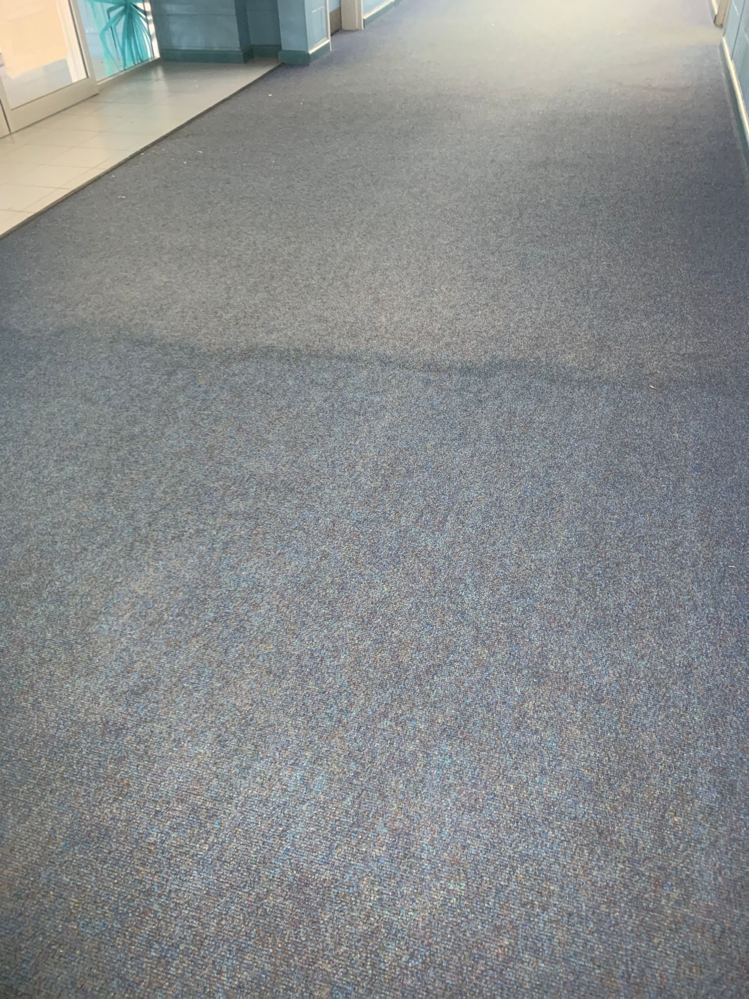 A close up of a blue carpeted floor in a hallway.